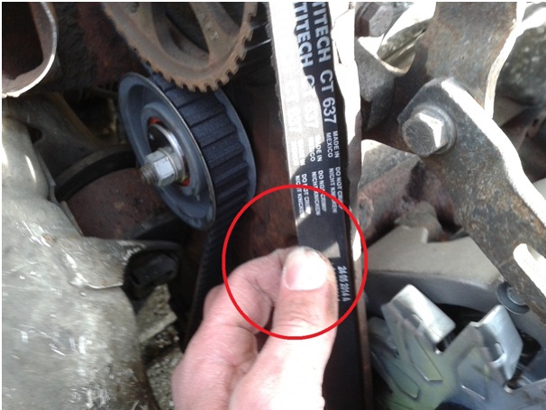 Zahnriemen-wechsel 21.jpg